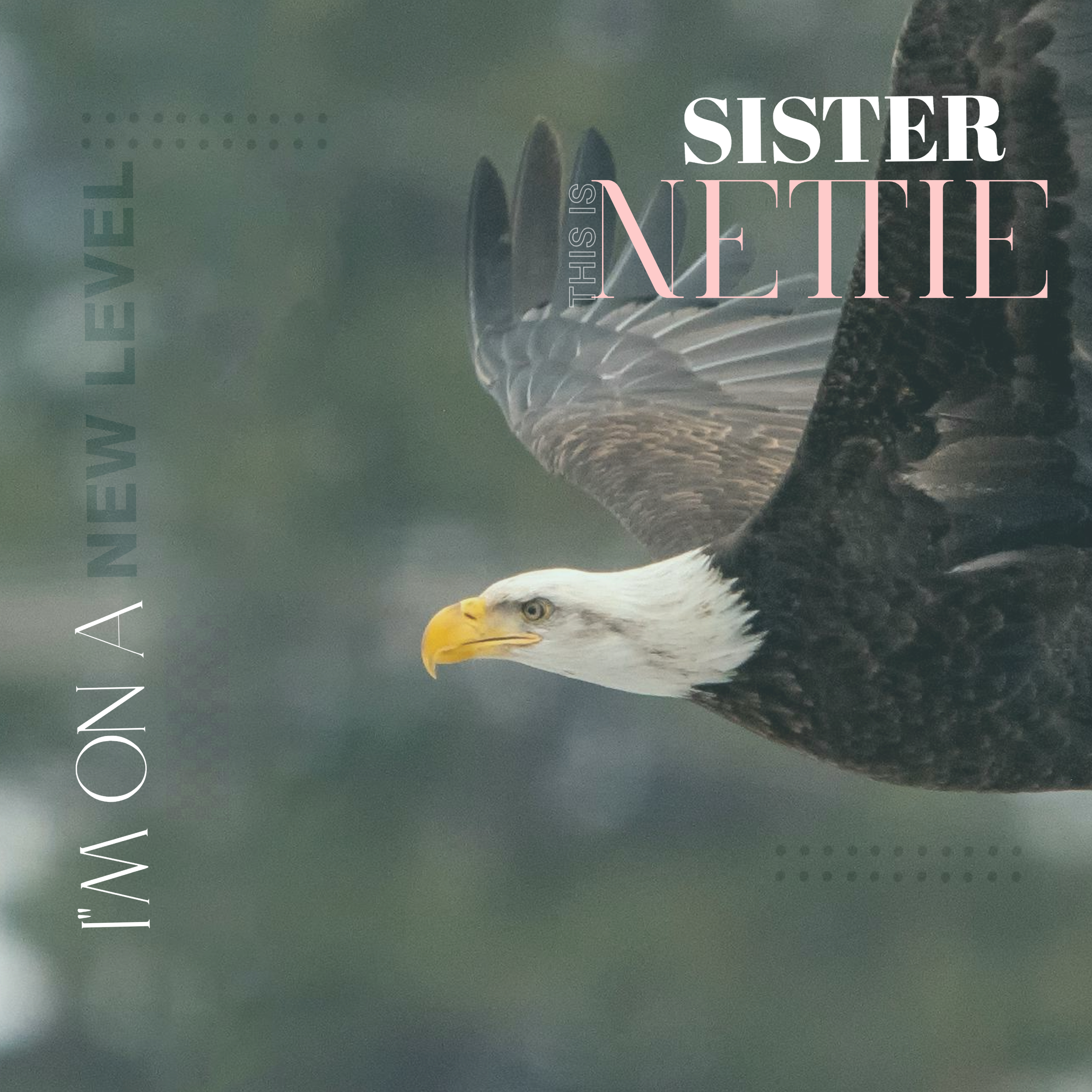 THIS IS SISTER NETTIE Song Entitled: I'M ON A NEW LEVEL